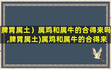 脾胃属土）属鸡和属牛的合得来吗,脾胃属土)属鸡和属牛的合得来 🐕 吗